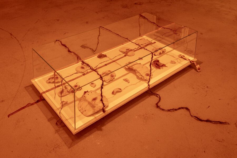 Spheres of Intimacy, Pragovka gallery 2023, detail, photo Marcel Rozhoň